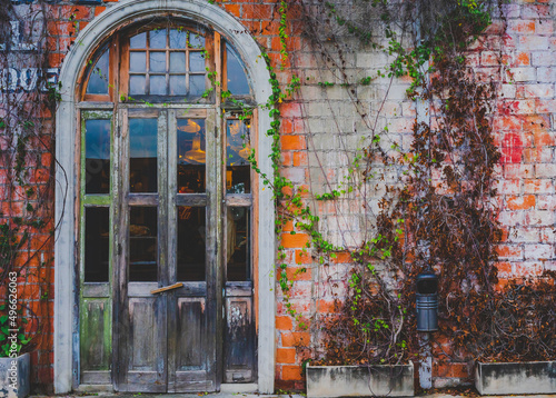 Old wooden door with orange brick walls and ivy. © Eakkarach