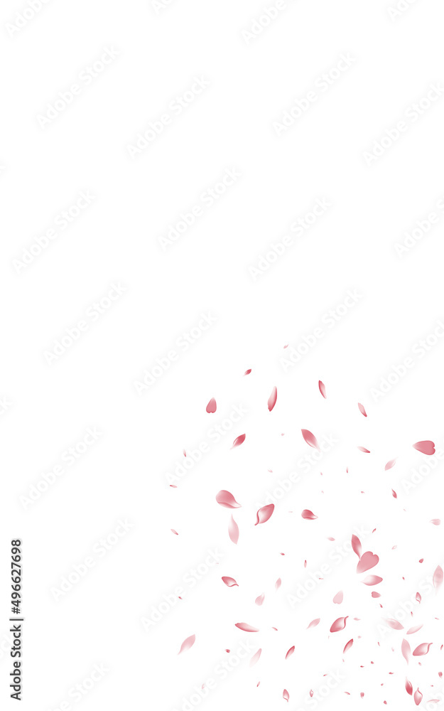Beautiful Rose Fly Vector White Background.