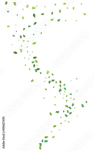 Olive Greens Flying Vector White Background. Tree