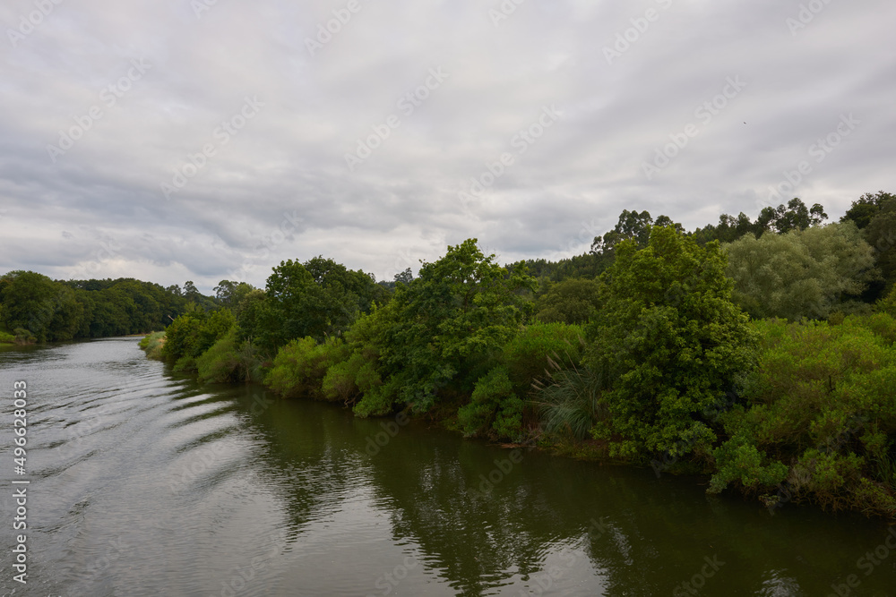A river surrounded by low vegetation on a gray day A river surrounded by low vegetation on a gray day