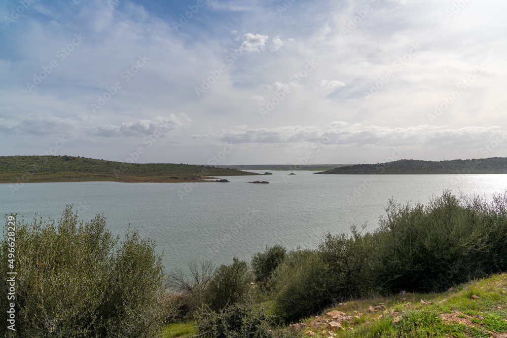 calm large lake with green bushes and vegetation under an overcast sky
