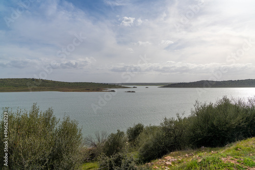 calm large lake with green bushes and vegetation under an overcast sky