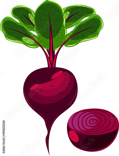 Vector image of a beetroot. Beetroot with leaves. Vegetable.