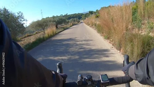 Bike ride along asphalt road past fruit orchards on a sunny day, first person view