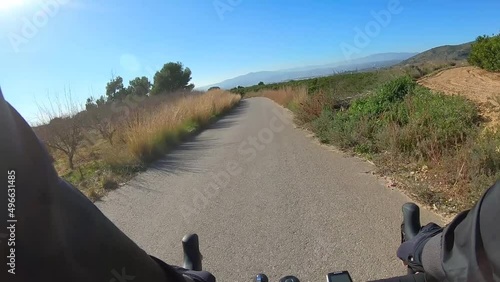 Bike ride along asphalt road past fruit orchards on a sunny day, first person view