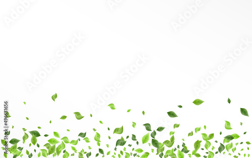 Lime Foliage Motion Vector White Background