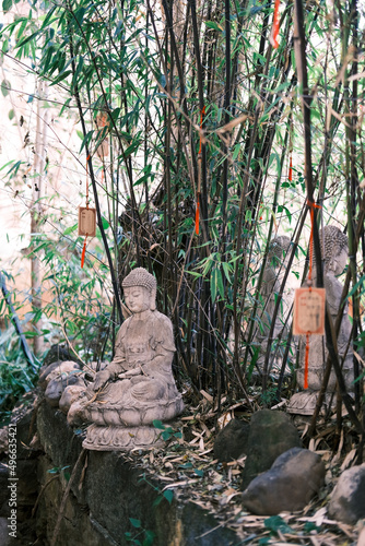 The statue of Buddha under the bamboo forest