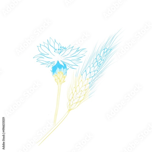 A bouquet of cornflowers with an ear of yellow-blue wheat is the national sym...