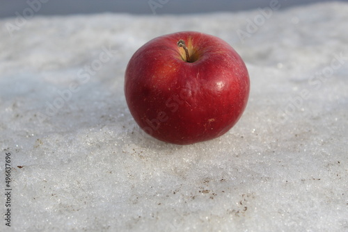 яблоко на снегу photo
