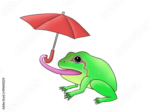 A frog which is presenting an umbrella