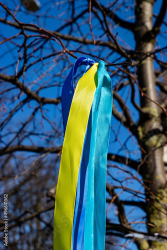 Ribbons in the colors of the Ukrainian flag tied to the tree branches