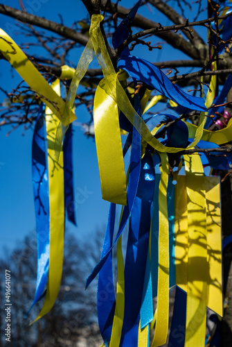 Ribbons in the colors of the Ukrainian flag tied to the tree branches