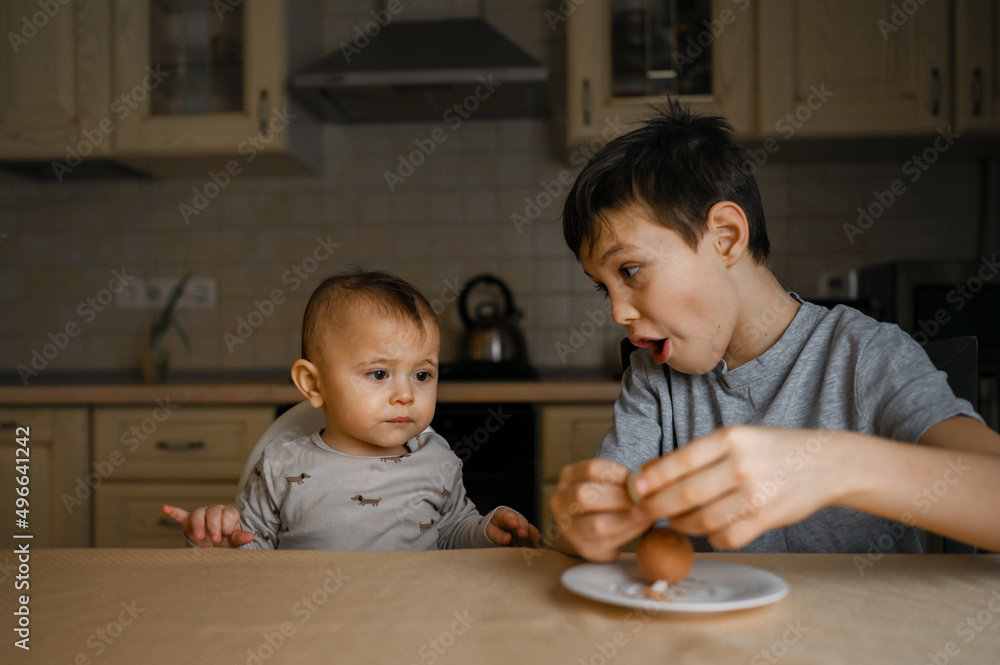 Fototapeta premium two brothers are sitting in the kitchen and eating an egg