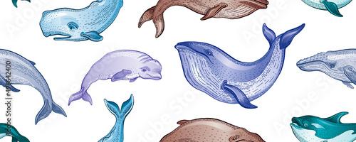 Whale pattern. Seamless vector sea whale illustration. Ocean animal background. Cute wallpaper. Marine watercolor print with underwater mammal animal. Water summer design texture. Sea seamless art