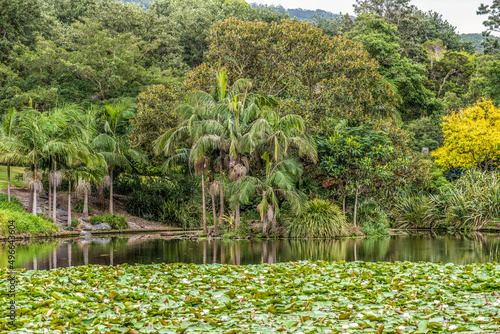 Botanic Gardens, Wollongong, NSW, Australia
