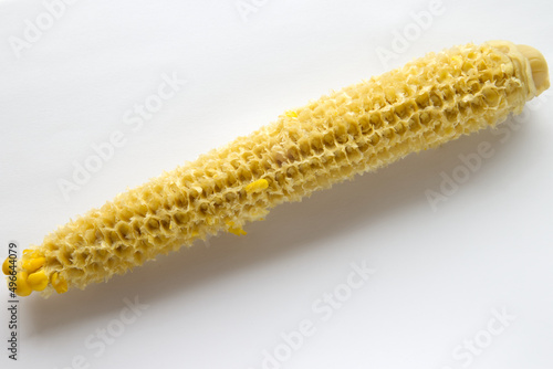 close up of one empty yellow core of corn isolated on white background