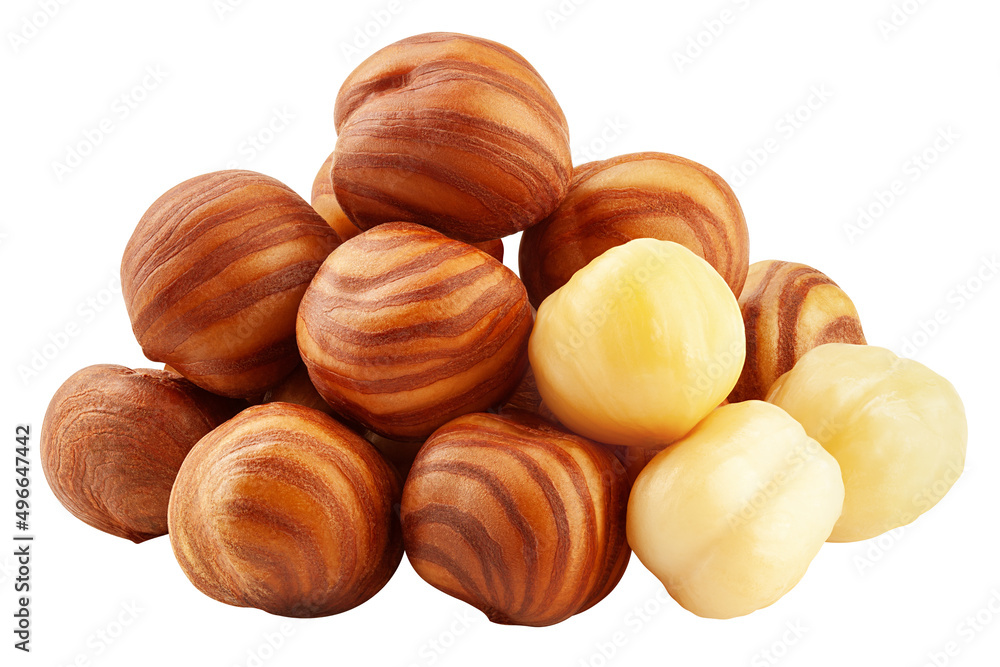Hazelnut peeled, isolated on white background, clipping path, full depth of field