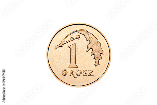 Moneta 1 Polski grosz photo