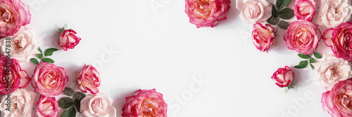Floral composition made of beautiful pink rose buds lying on white background with sunlight. Nature concept. Summer theme. Minimal style. Top view. Flat lay