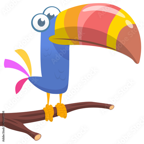 Toucan cartoon. Vector toucan bird. Exotic colorful bird illustration