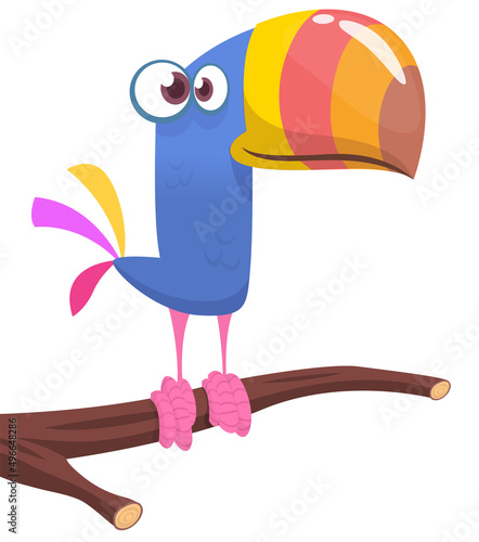 Toucan cartoon. Vector toucan bird. Exotic colorful bird illustration