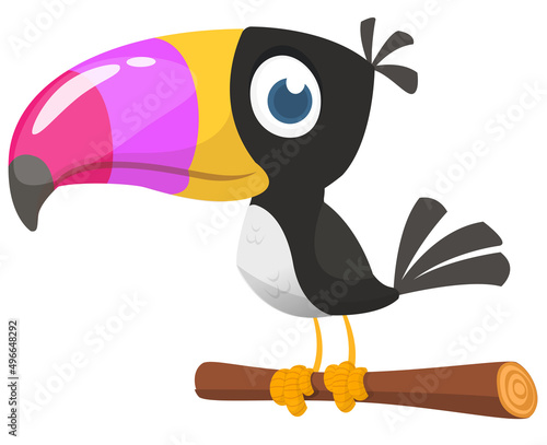 Toucan cartoon. Vector toucan bird. Exotic colorful bird illustration