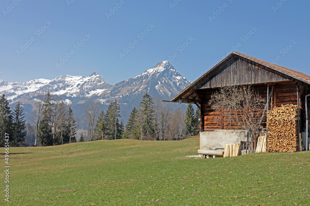 Aeschi, Alpen, Berner Oberland, Schweiz
