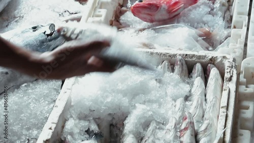 View of a person taking fish from a box full of ice.