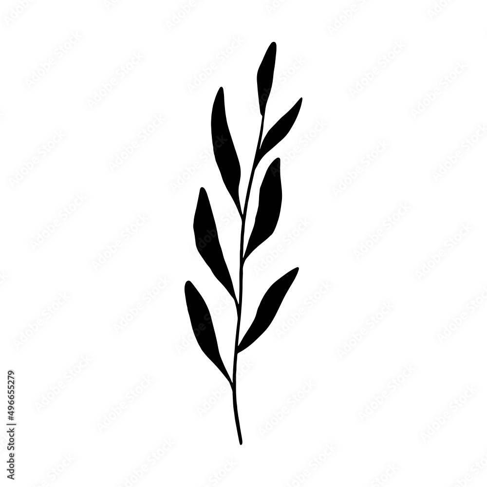 Aesthetic Handdrawn Leaf Aesthetic Handdrawn Leaf
