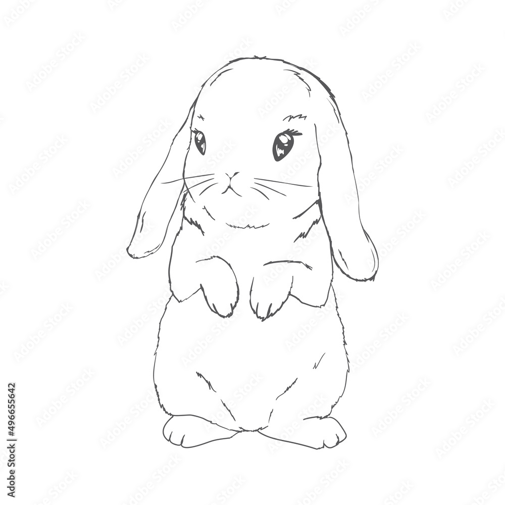 Five black and white sketches of cute rabbits sitting in various poses. Vector Illustrations. Five black and white sketches of cute rabbits sitting in various poses. Vector Illustrations.