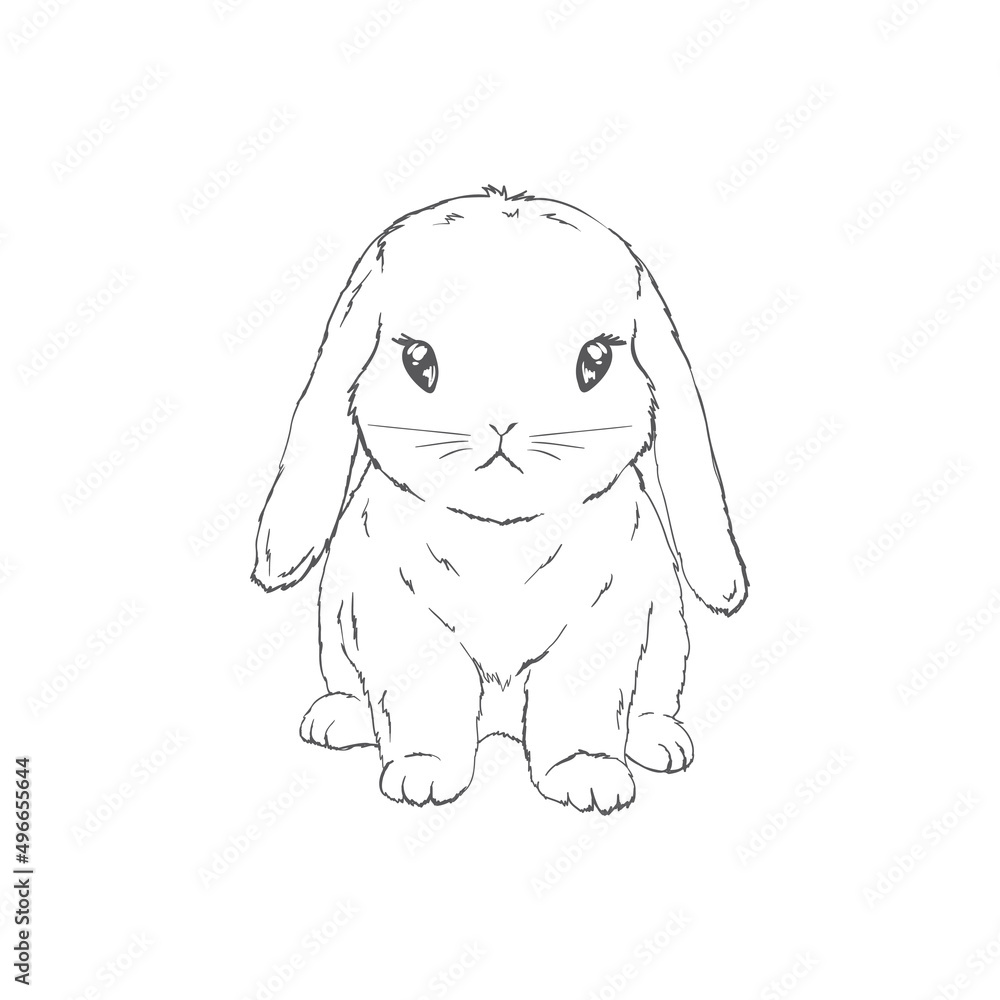 Five black and white sketches of cute rabbits sitting in various poses. Vector Illustrations. Five black and white sketches of cute rabbits sitting in various poses. Vector Illustrations.