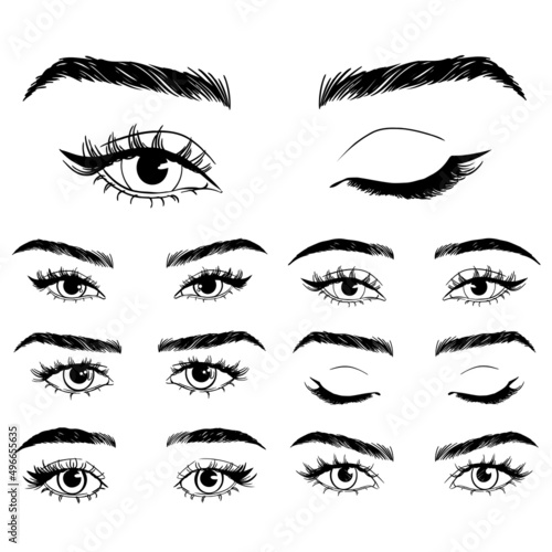 Illustration with woman's eyes, eyelashes and eyebrows. Makeup Look.