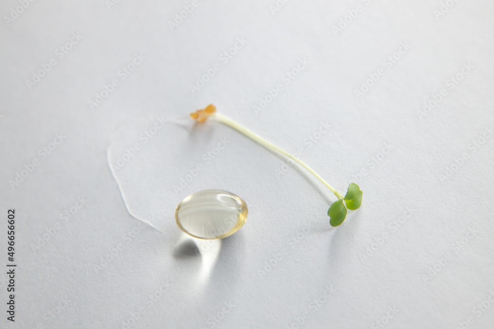 tablets and capsules on a white background with a sprout. Concept medicine, medical tablets and capsules on a white background with a sprout. Concept medicine, medical