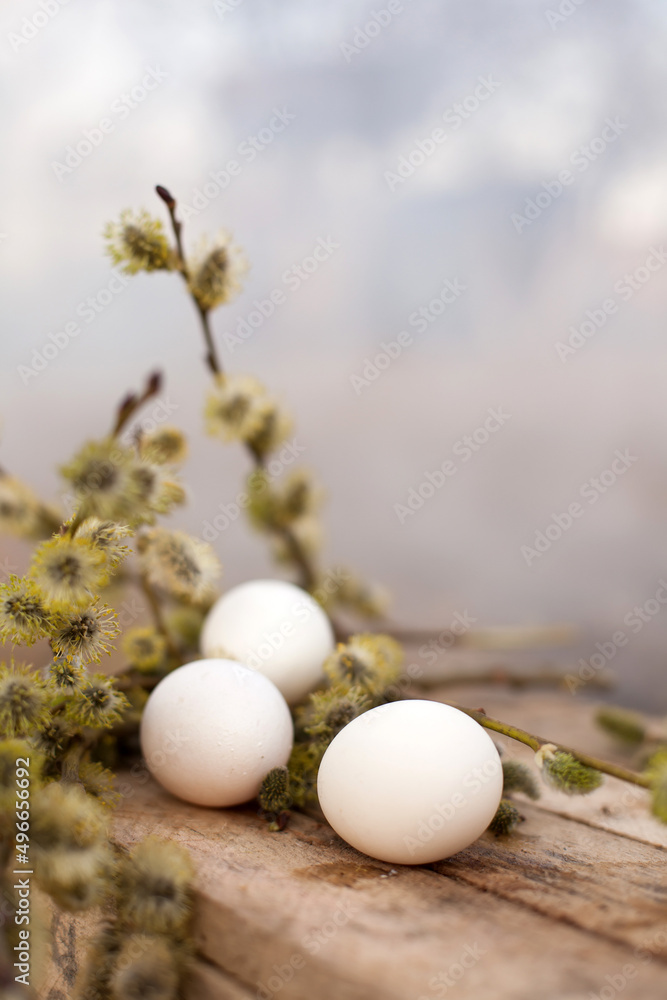 White eggs with willow twigs , Easter