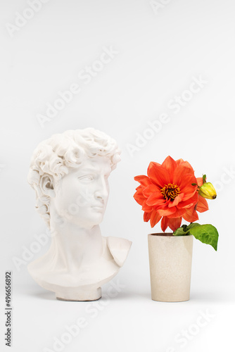 Gypsum statue David's head and blooming flowers in a pot. Minimal creative concept art.