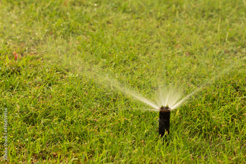 sprinkler spraying water on grass