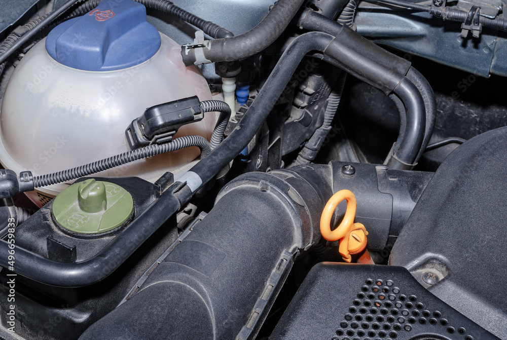 Car coolant reservoir and parts of the engine compartment Car coolant reservoir and parts of the engine compartment