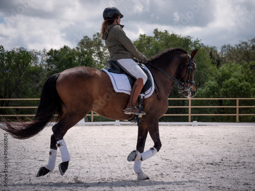 Female dressage rider training canter gait or gallop on the arena. © Daniel