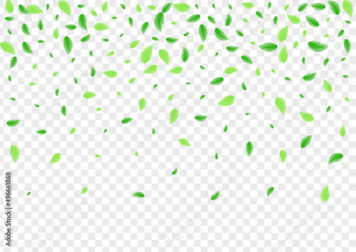 Light Green Foliage Background Transparent Vector. Greenery Woods Frame. Decorative Texture. Greenish Summer Card. Plant Line.