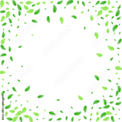 Greenish Vegetation Background White Vector. Plant Wind Frame. Vivid Design. Green Sprout Card. Sheet Process.