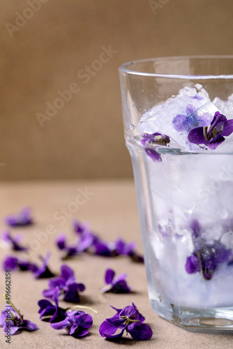 Glass of lemonade cocktail with violets flowers © Natasha Breen