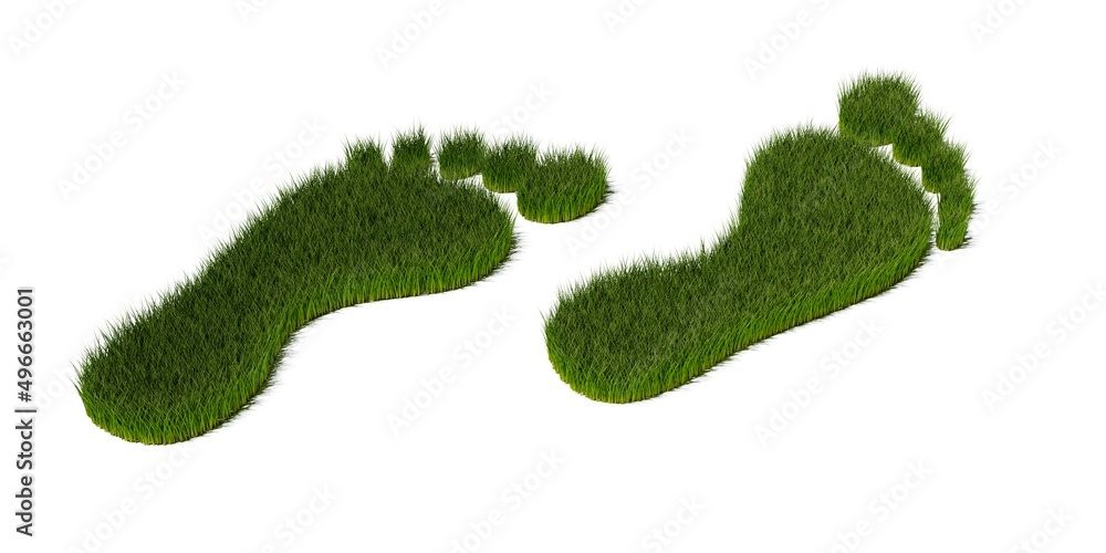 Two footprint shape symbols growing as grass, ecology, environment or carbon footprint concept on white background Two footprint shape symbols growing as grass, ecology, environment or carbon footprint concept on white background