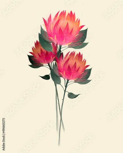 Watercolour hand drawn protea flower illustration, floral poster, print for postcard, retro drawing