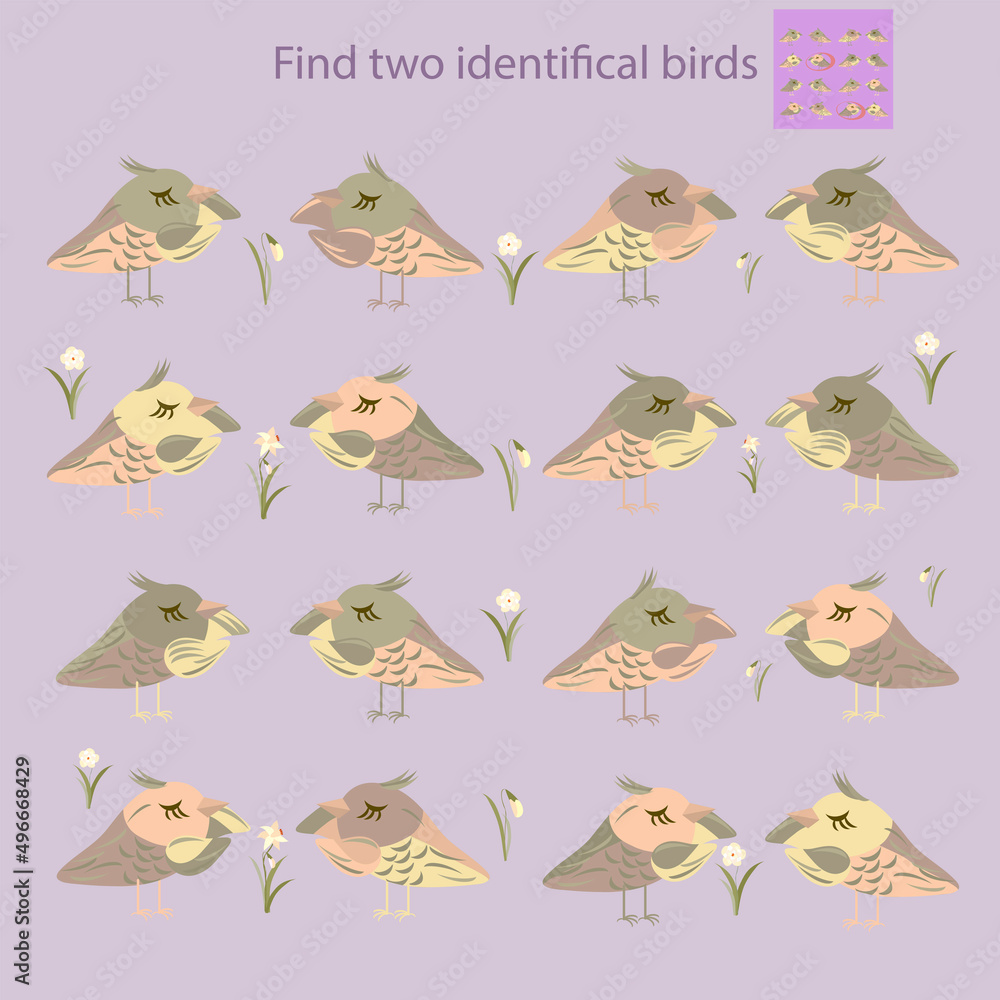 find two identical rebus birds for children under the age of 10