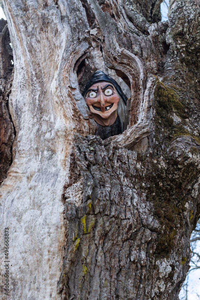 León, España; 1 de abril de 2022 Bosque encantado situado en Almanza