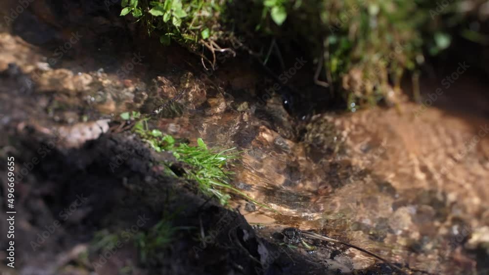 Clear spring water flows rapidly. Sunlight played in the water. Selective focus Clear spring water flows rapidly. Sunlight played in the water. Selective focus