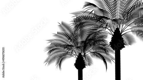 ヤシの木と空の風景_背景素材_シルエット_16:9