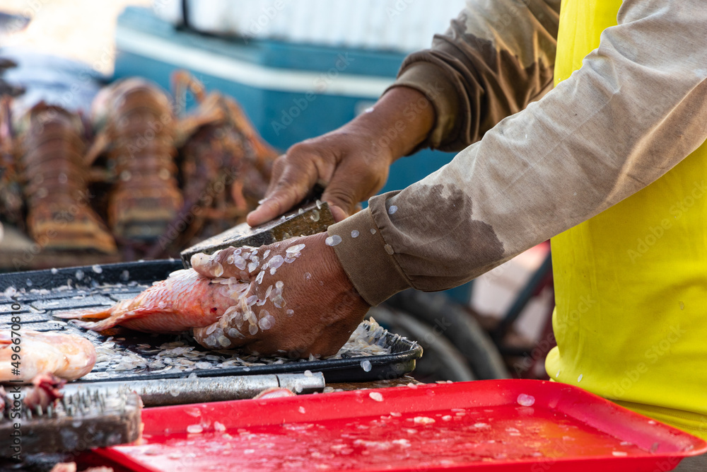 Fisherman hand cleaning fish skin