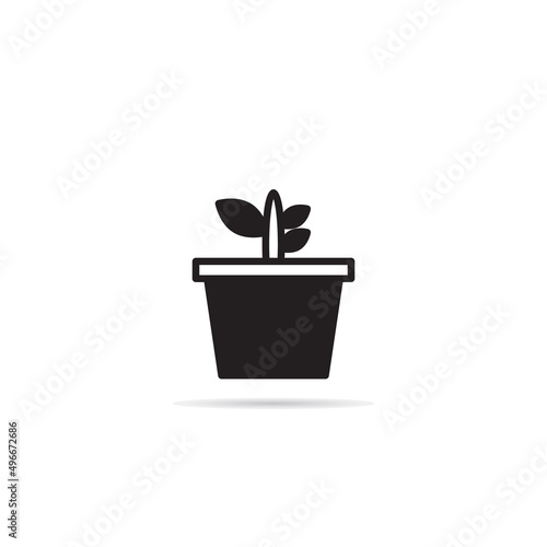 house plant icon vector illustration