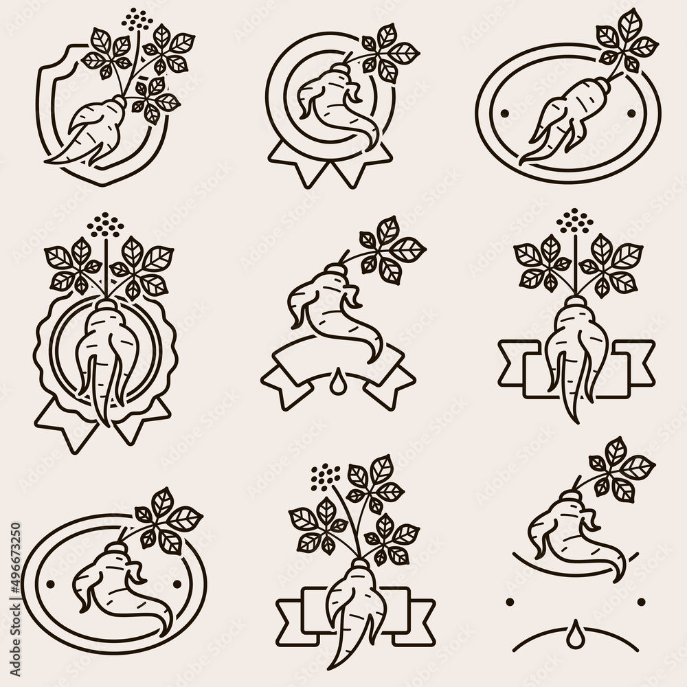 Red ginseng label and icon set. Collection icon red ginseng. Vector